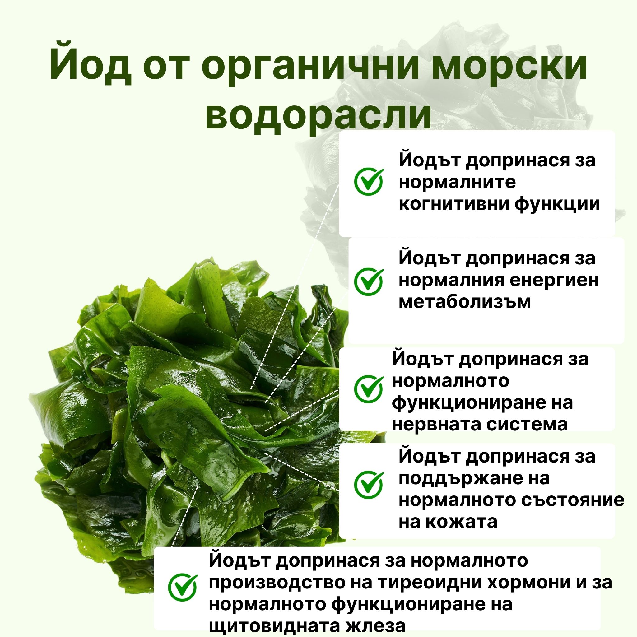 (Bulharština) (kopie 2)